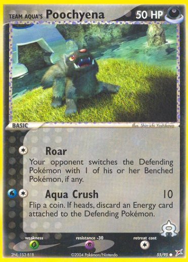 Team Aqua's Poochyena - 55/95