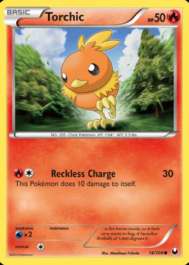 Torchic (14)