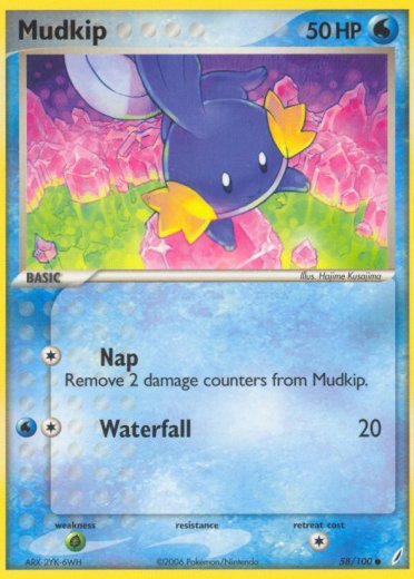Mudkip - 058/100