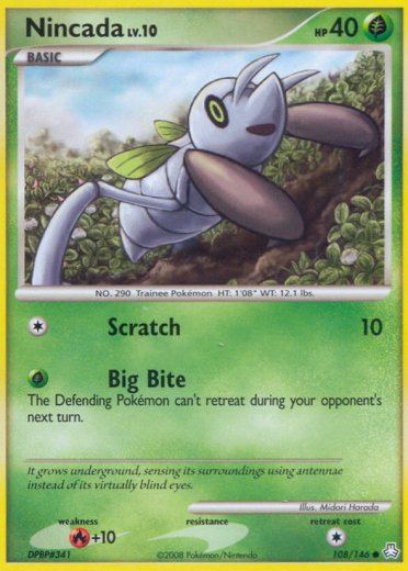 Nincada
