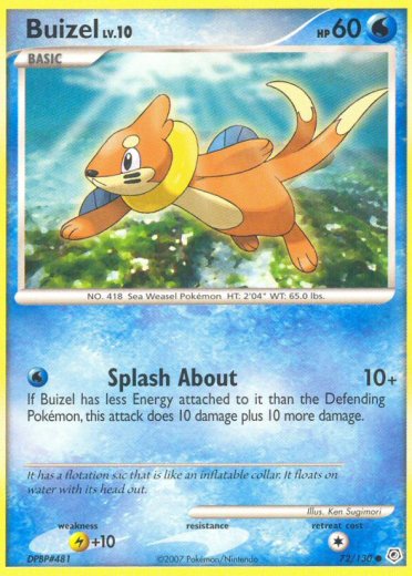 Buizel