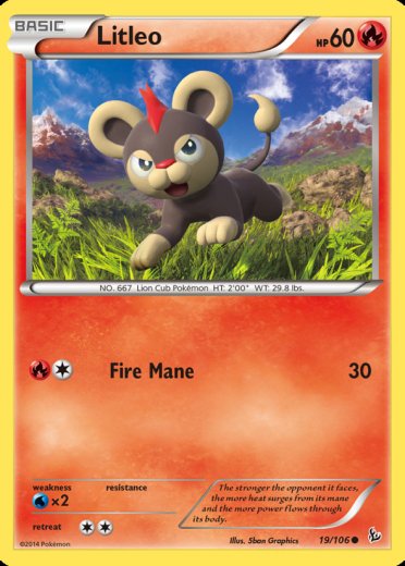 Litleo (19)