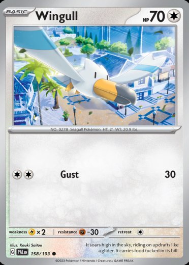 Wingull