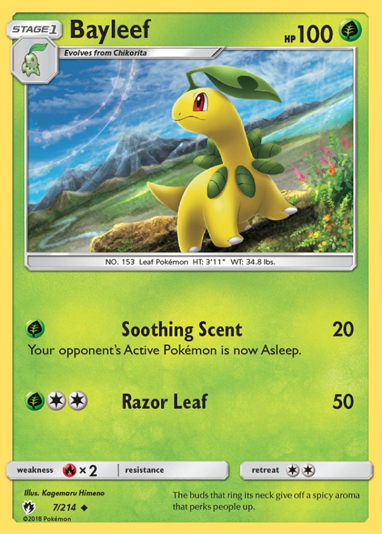 bayleef pokemon card value Most Expensive Bayleef Pokmon Cards