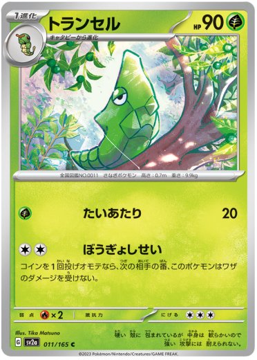 Metapod (Master Ball Pattern)