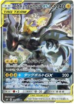 Pikachu & Zekrom GX - 101/095 101/95 Price 2026 | Tag Bolt