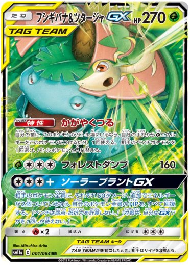 Venusaur & Snivy GX - 001/064