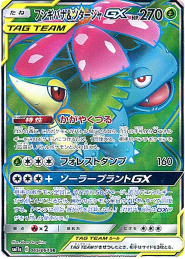 Venusaur & Snivy GX - 065/064