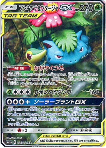 Venusaur & Snivy GX - 066/064
