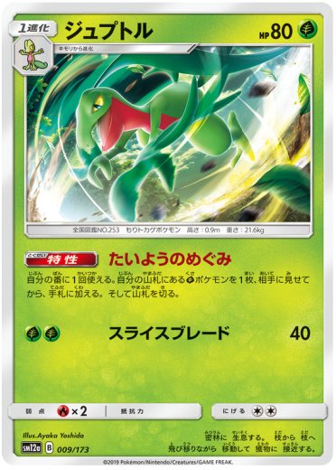 Grovyle (Mirror Holofoil)