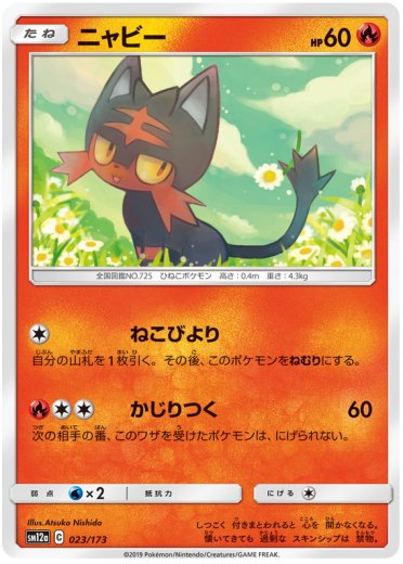 Litten (Mirror Holofoil)