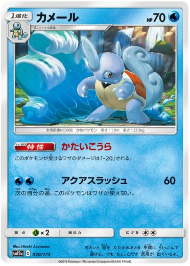 Wartortle (Mirror Holofoil)