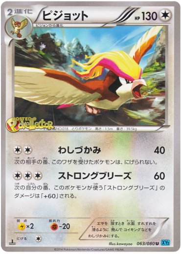 Pidgeot - Pokemon Card Prices & Trends Pidgeot - Pokemon Card Prices & Trends