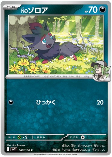 N's Zorua
