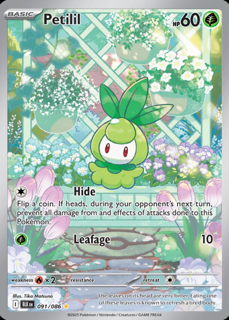 pokemon petito マリル 2014 Petilil - 091/086 91/86 Price 2026 | Black Bolt