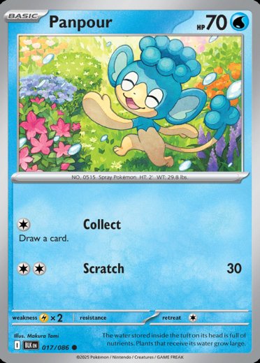 Panpour (Master Ball Pattern)