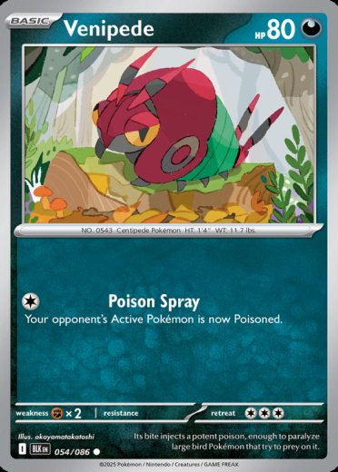 Venipede (Master Ball Pattern)