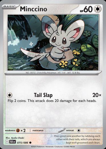 Minccino (Master Ball Pattern)