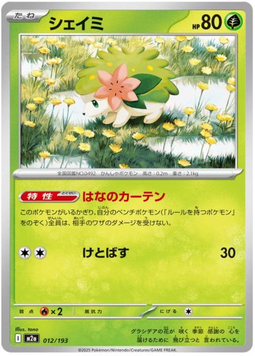 Shaymin (Energy Symbol Pattern)