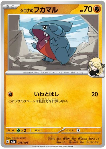 Cynthia's Gible (Energy Symbol Pattern)