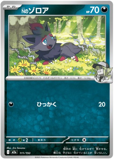N's Zorua (Energy Symbol Pattern)