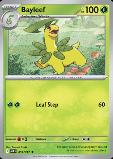 Bayleef (Energy Symbol Pattern)