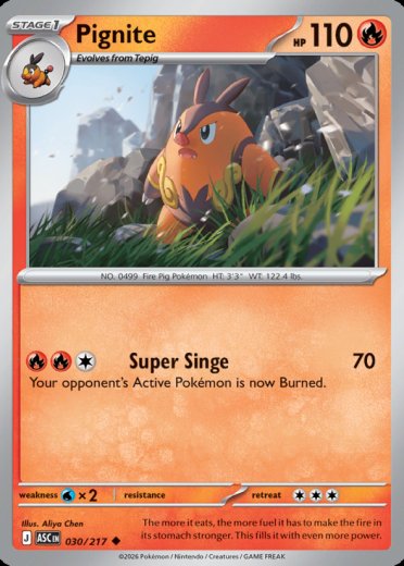 Pignite (Energy Symbol Pattern)