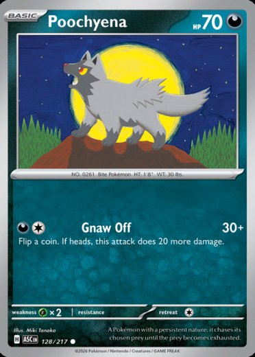 Poochyena (Energy Symbol Pattern)