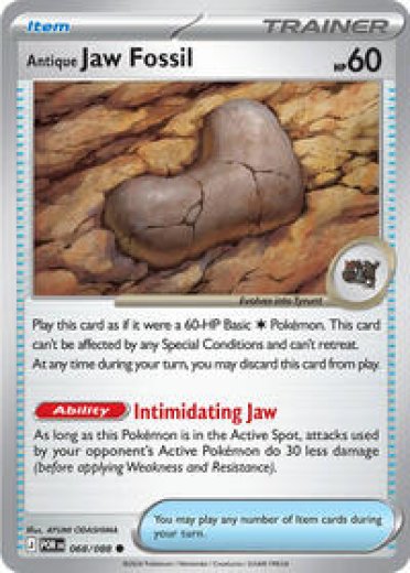 Antique Jaw Fossil