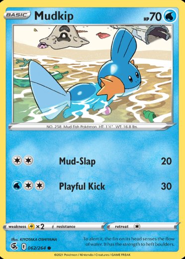 Mudkip