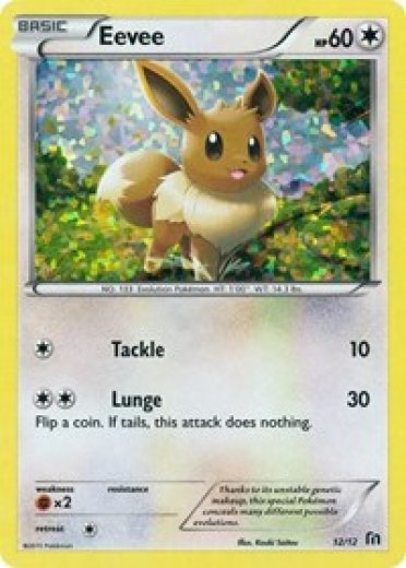 Eevee - 12/12