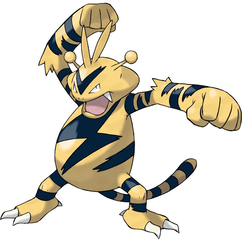 pokemon card prices uk 016/167) Pokemon TCG Twilight Masquerade Single: Rillaboom Uncommon – Puca  Puca Games main image 1