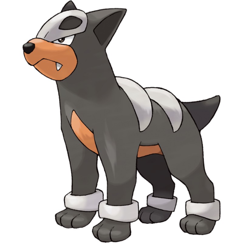 Houndour - Pokemon Card Prices & Trends