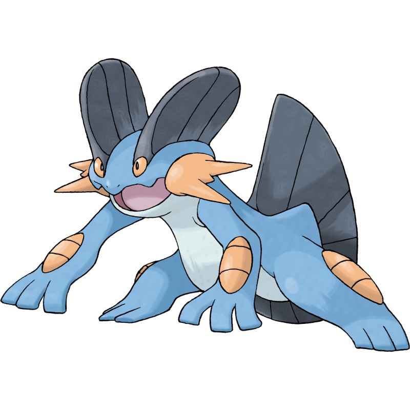 swampert pokemon cards Pokmon TCG XY