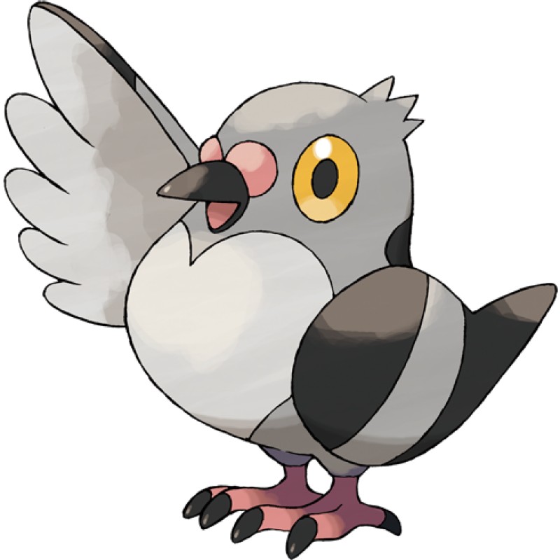 pidove pokemon card Pidove Card Prices & Value 2026
