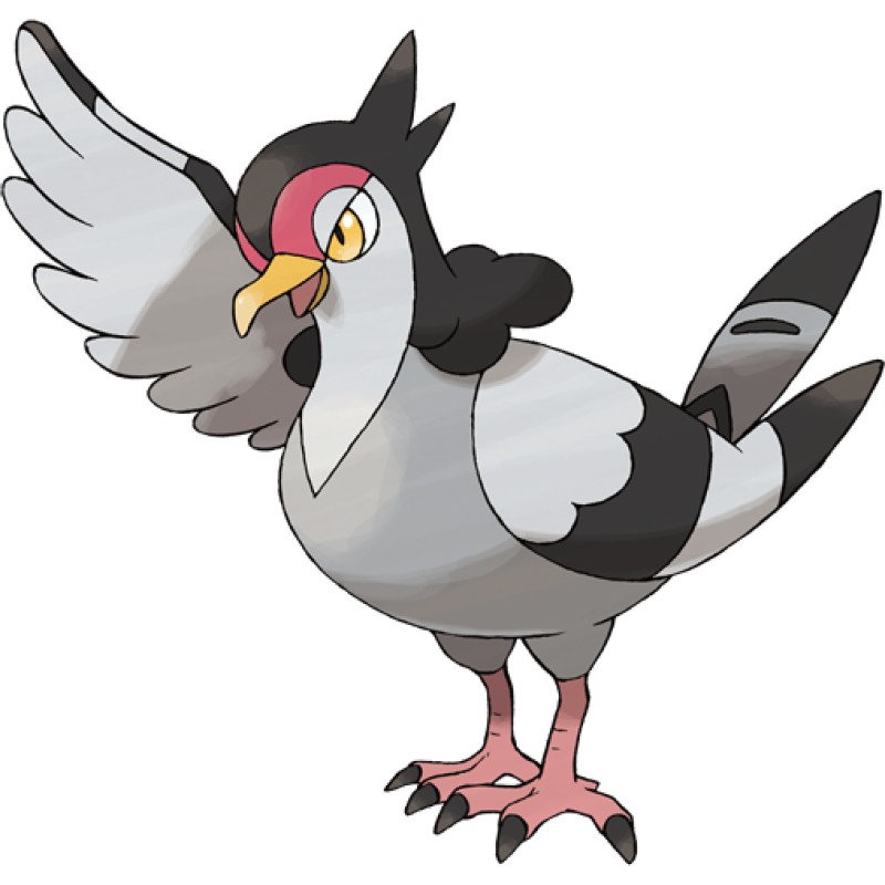 tranquill pokemon card Pokemon Single Card Sun and Moon - Unified Minds
