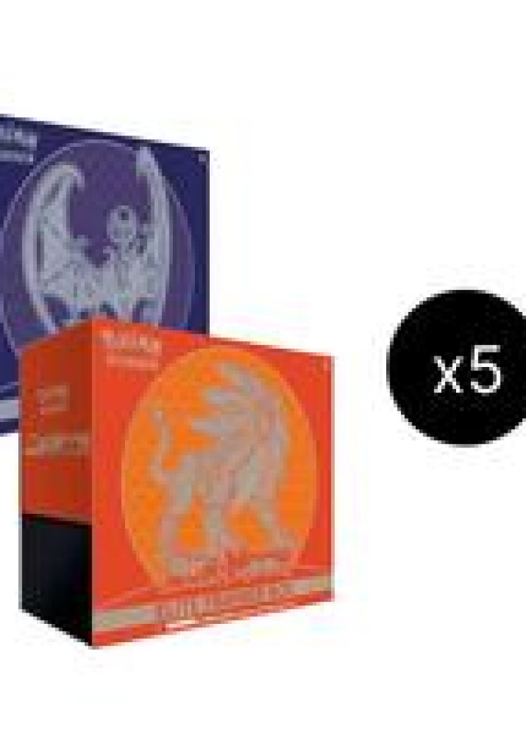 Sun & Moon Elite Trainer Box Case