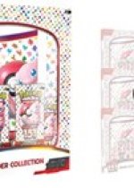 151 Binder Collection Case