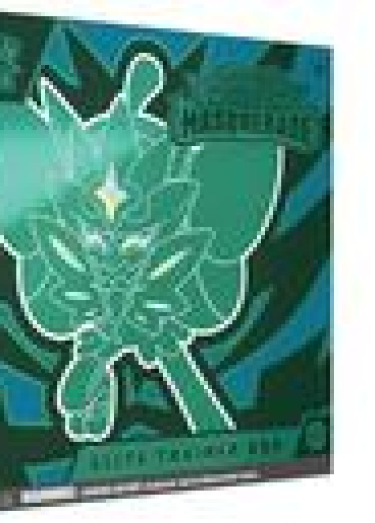 Twilight Masquerade Elite Trainer Box Case