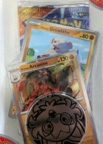 Hisuian Arcanine - Lost Origin Trainer Gallery - Pokemon Card Prices &  Trends