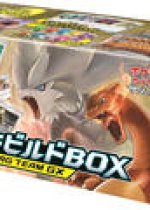 TAG TEAM GX: Deck Build Box