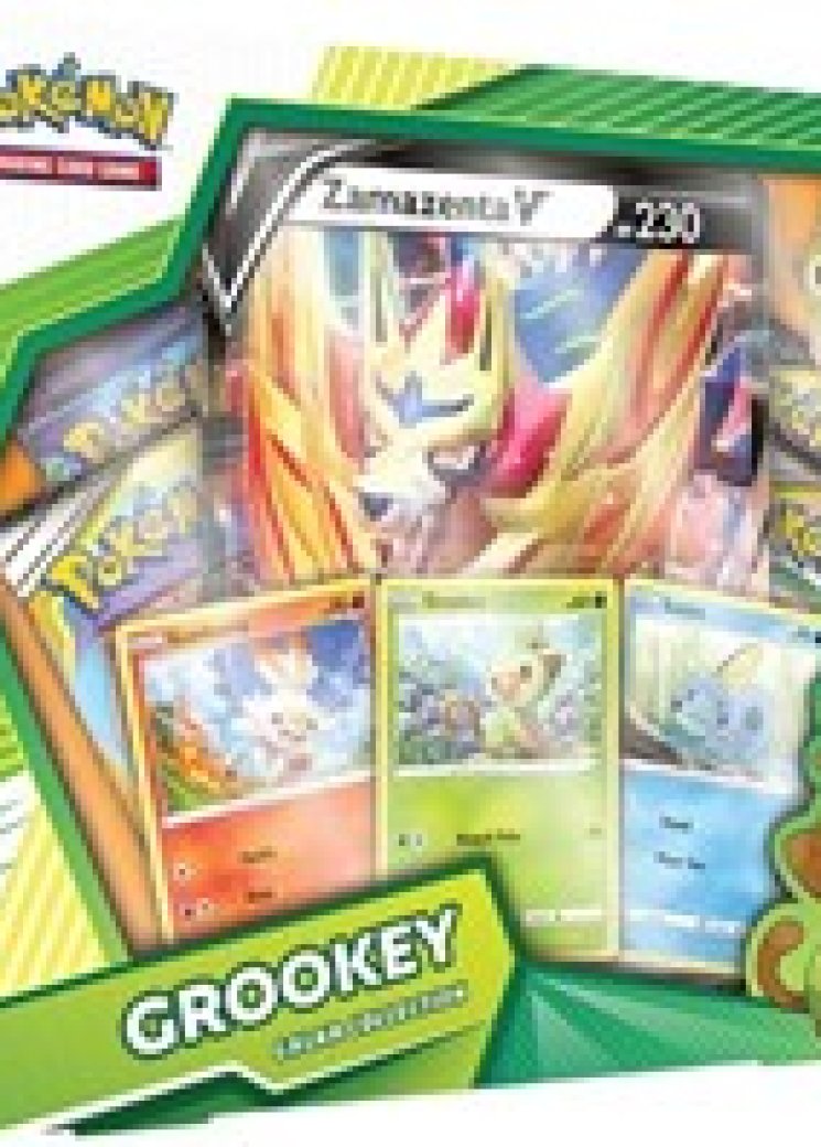 Galar Collection [Grookey] - with Zamazenta V