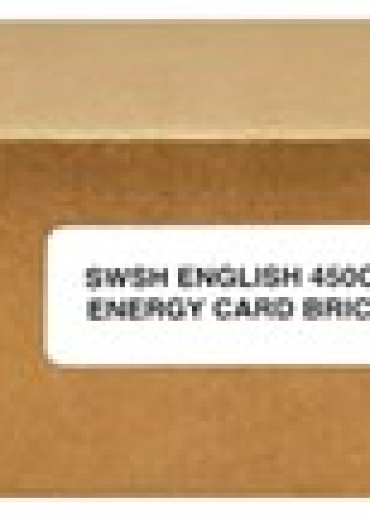 Pokemon TCG: SWSH Basic Energy Box