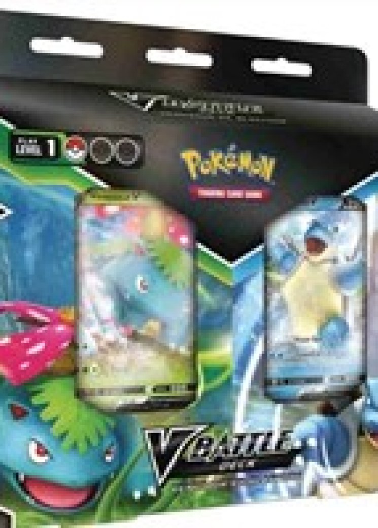 V Battle Deck Bundle [Venusaur V/Blastoise V]