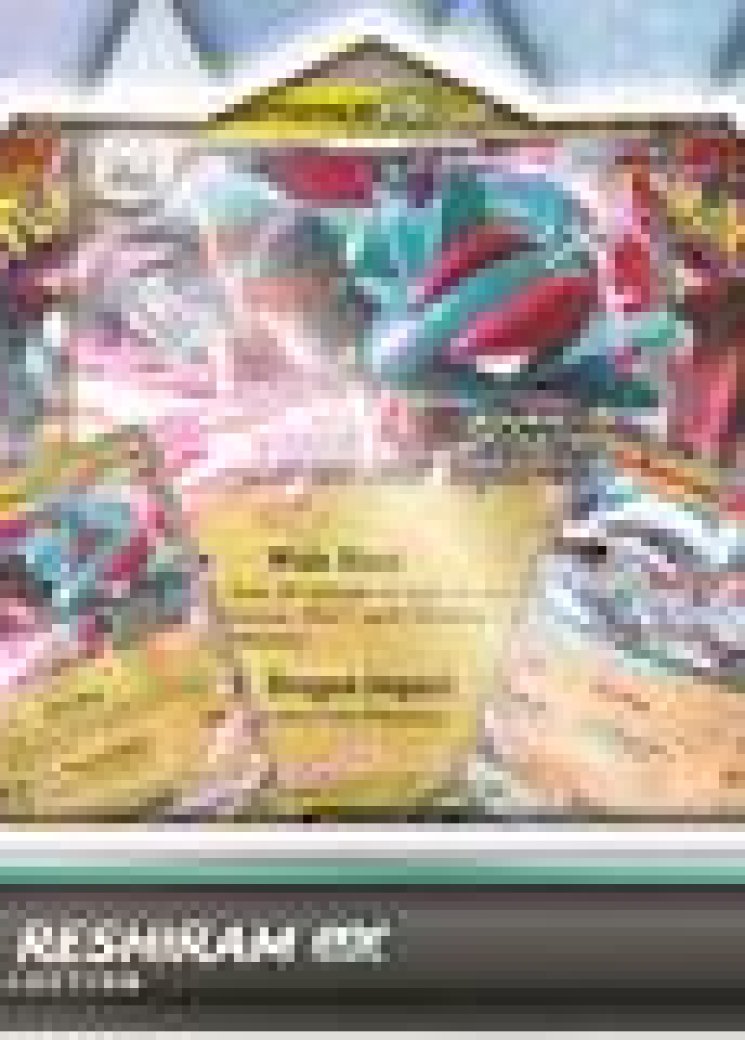 Salamence ex & Reshiram ex Premium Collection