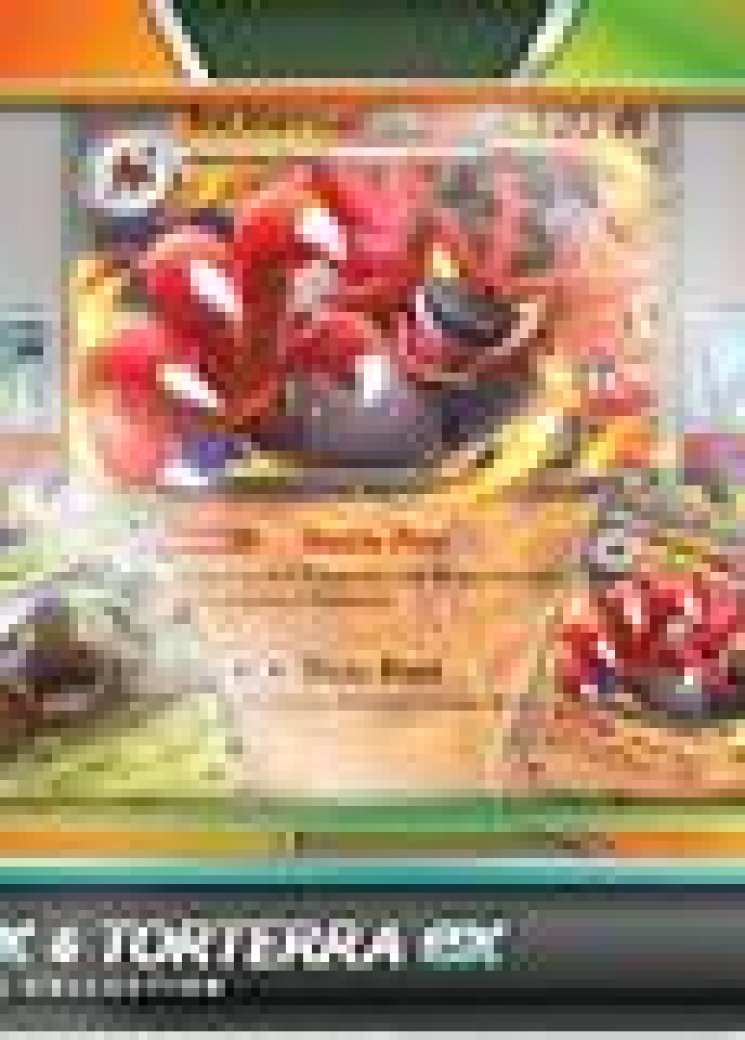 Incineroar ex and Torterra ex Special Collection