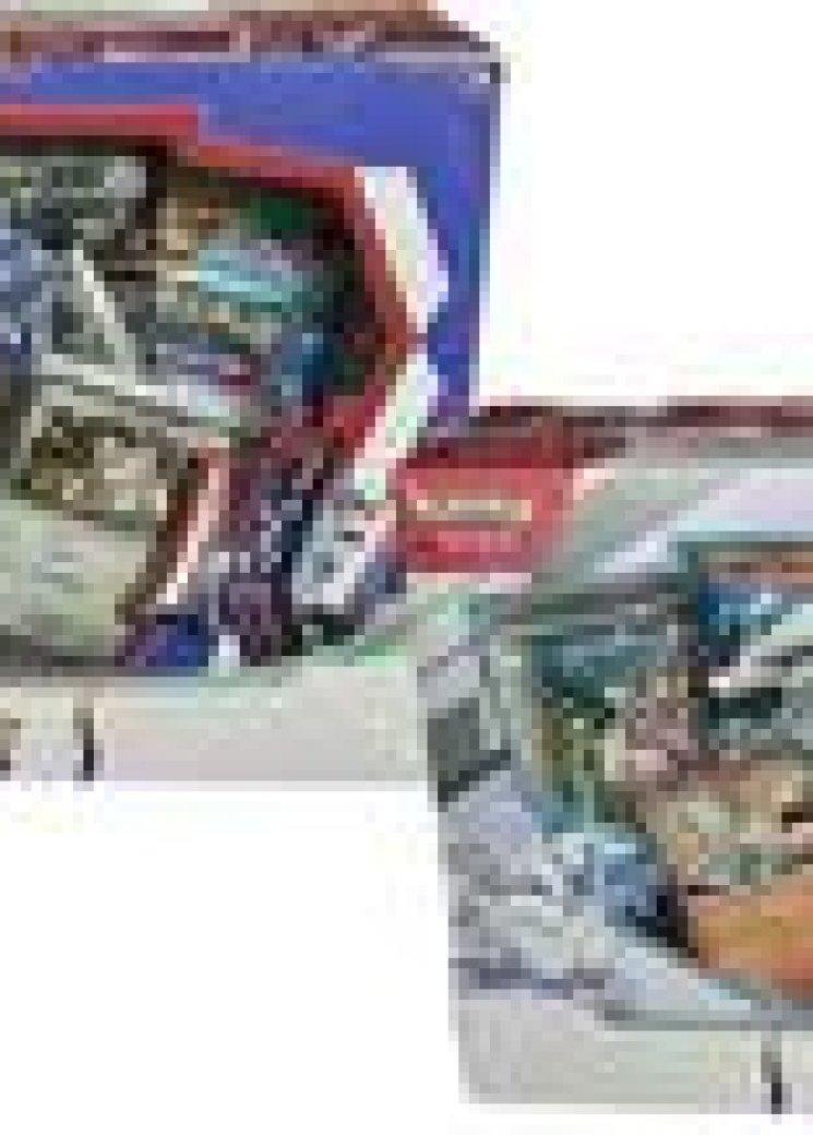 Reshiram & Archaludon ex Box [Set of 2]