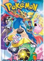 Battle Partner Booster Pack