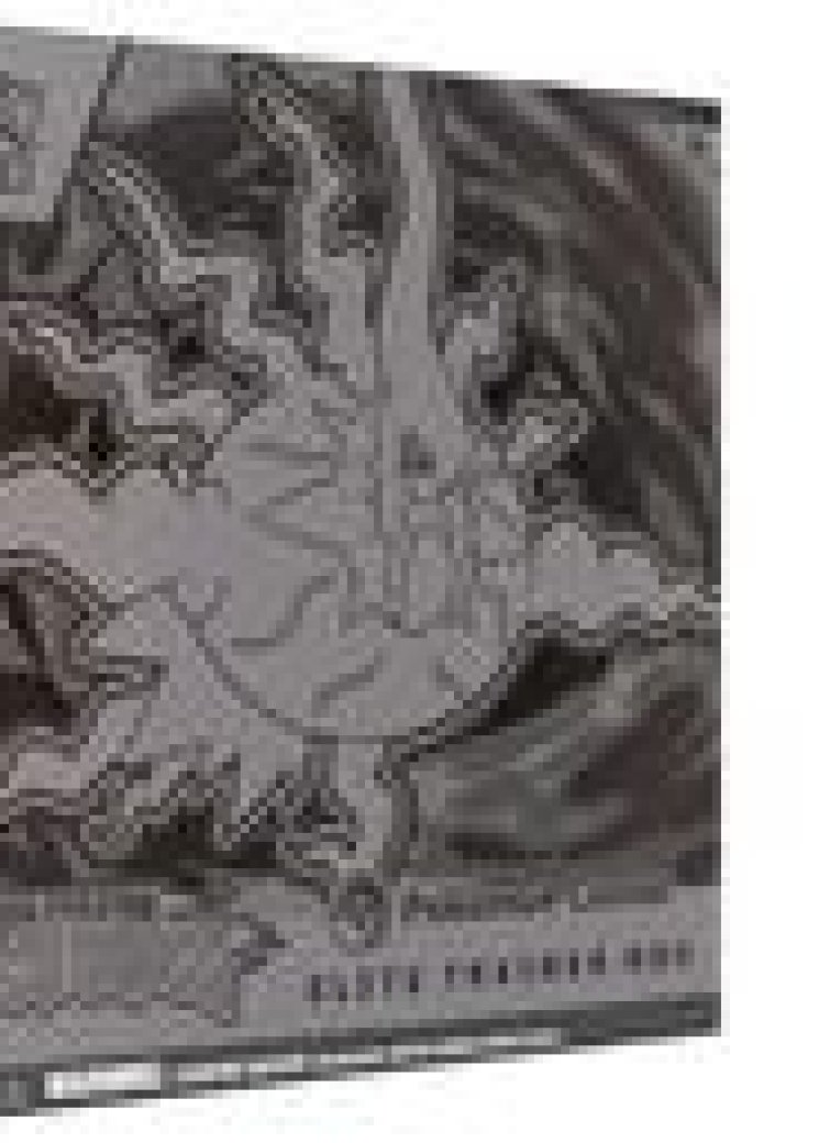 Pitch Black Pokemon Center Elite Trainer Box Case (Exclusive)