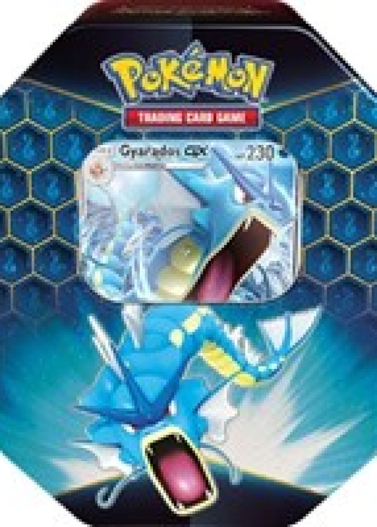 Hidden Fates Tin [Gyarados GX]